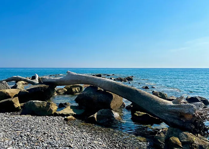 Apartamento La Luna Sul Mare Vallecrosia